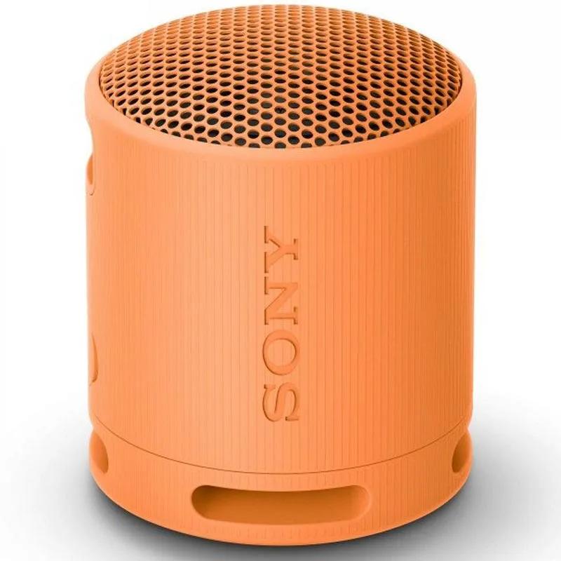 BOKS Bluetooth SONY SRSXB100D.CE7