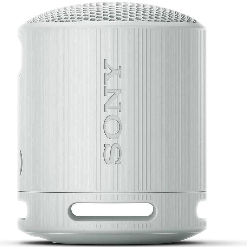 BOKS Bluetooth SONY SRSXB100H.CE7