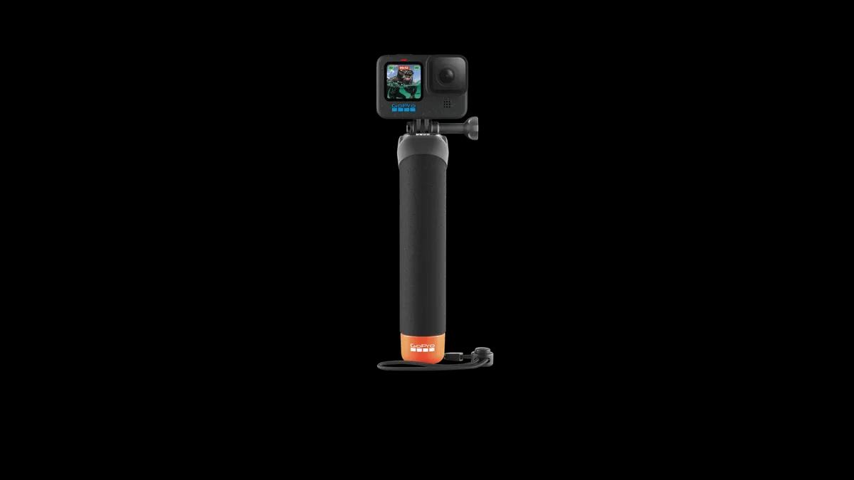 GoPro The Handler