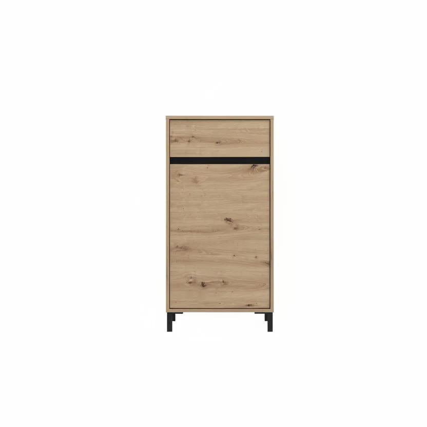 Kabinet I vogel Aron