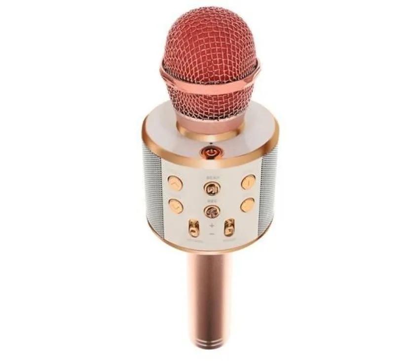 Karaoke mikrofon sa zvučnikom
