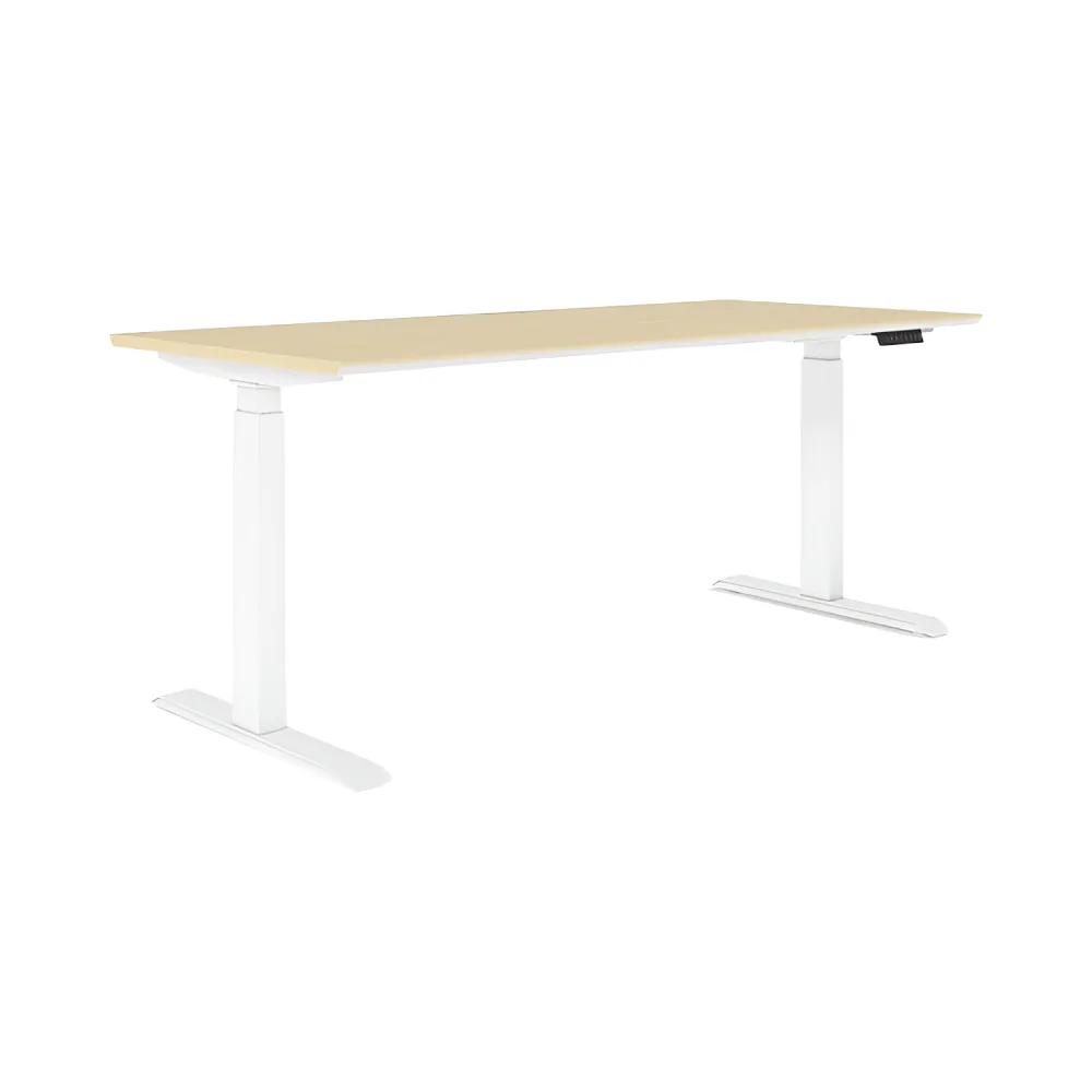 Noel Adjustable Desk P-AD-DM3S-06