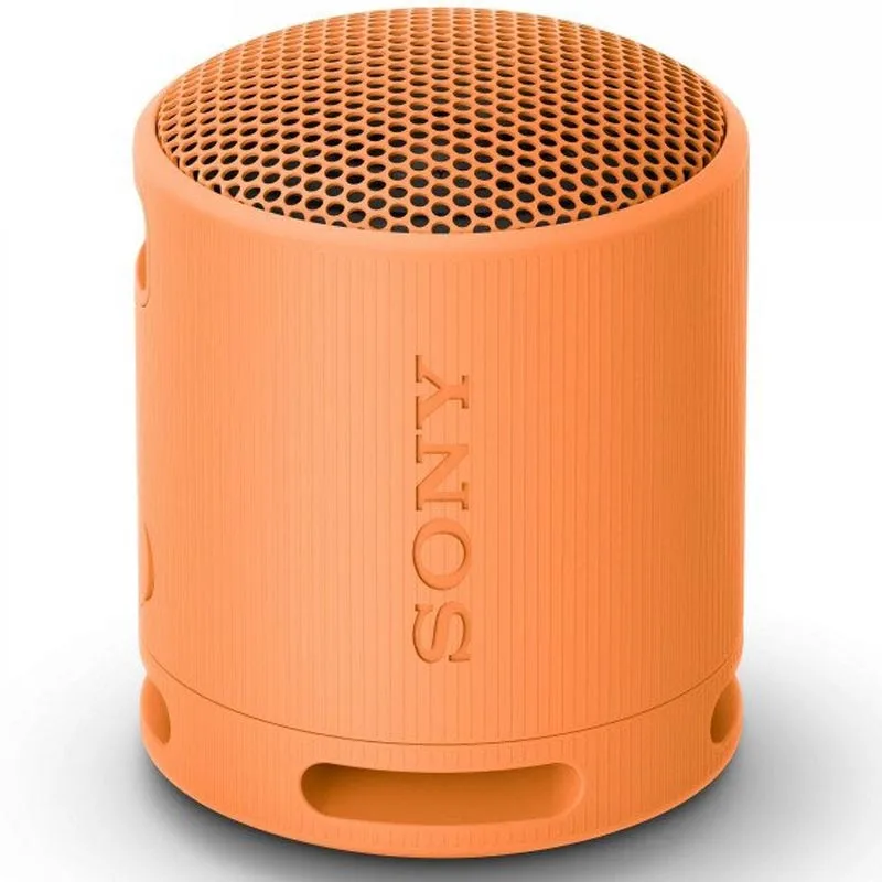 BOKS Bluetooth SONY SRSXB100D.CE7