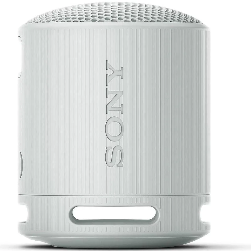 BOKS Bluetooth SONY SRSXB100H.CE7