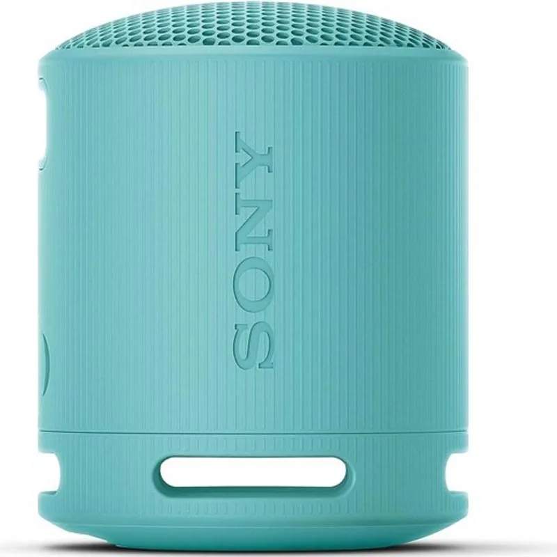 BOKS Bluetooth SONY SRSXB100L.CE7