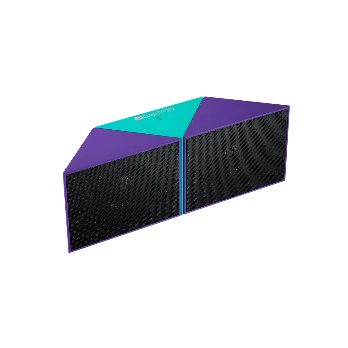 Canyon Wireless Speaker-Transformer - R&R Computer Services