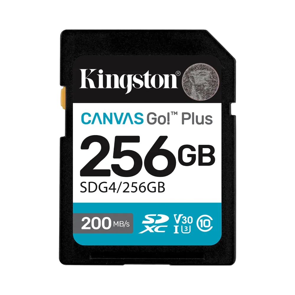kingston-canvas-go-plus-sd-memory-card-256gb