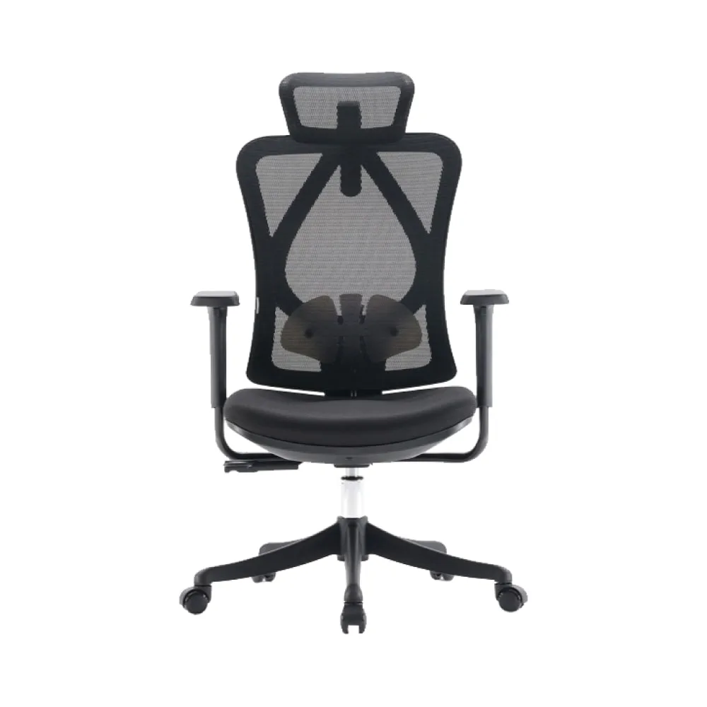 Sihoo M18C Ergonomic Office Chair