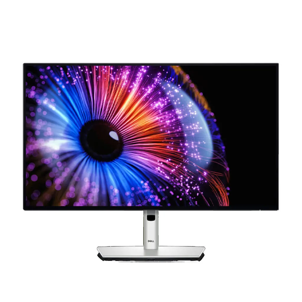 DELL Monitor FLAT PANEL - R&R Computer Services
