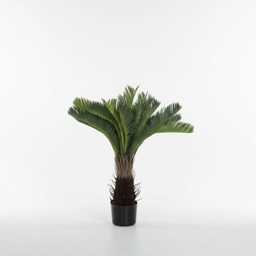 Lule / Peme / 70cm