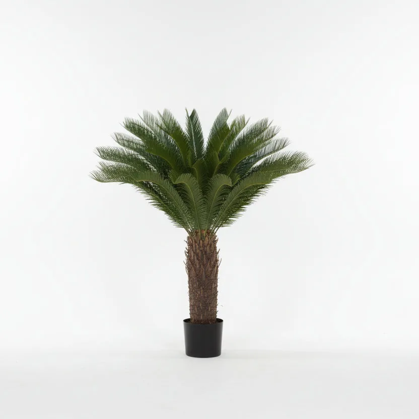 Lule / Peme / 90cm