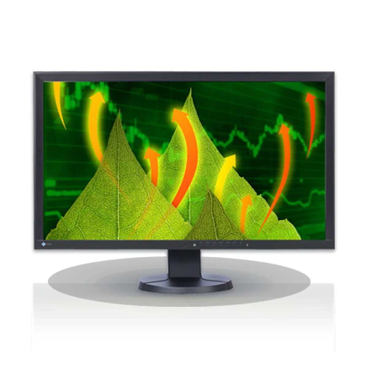 Monitor EIZO Flexscan EV2736W 27" 2K - R&R Computer Services