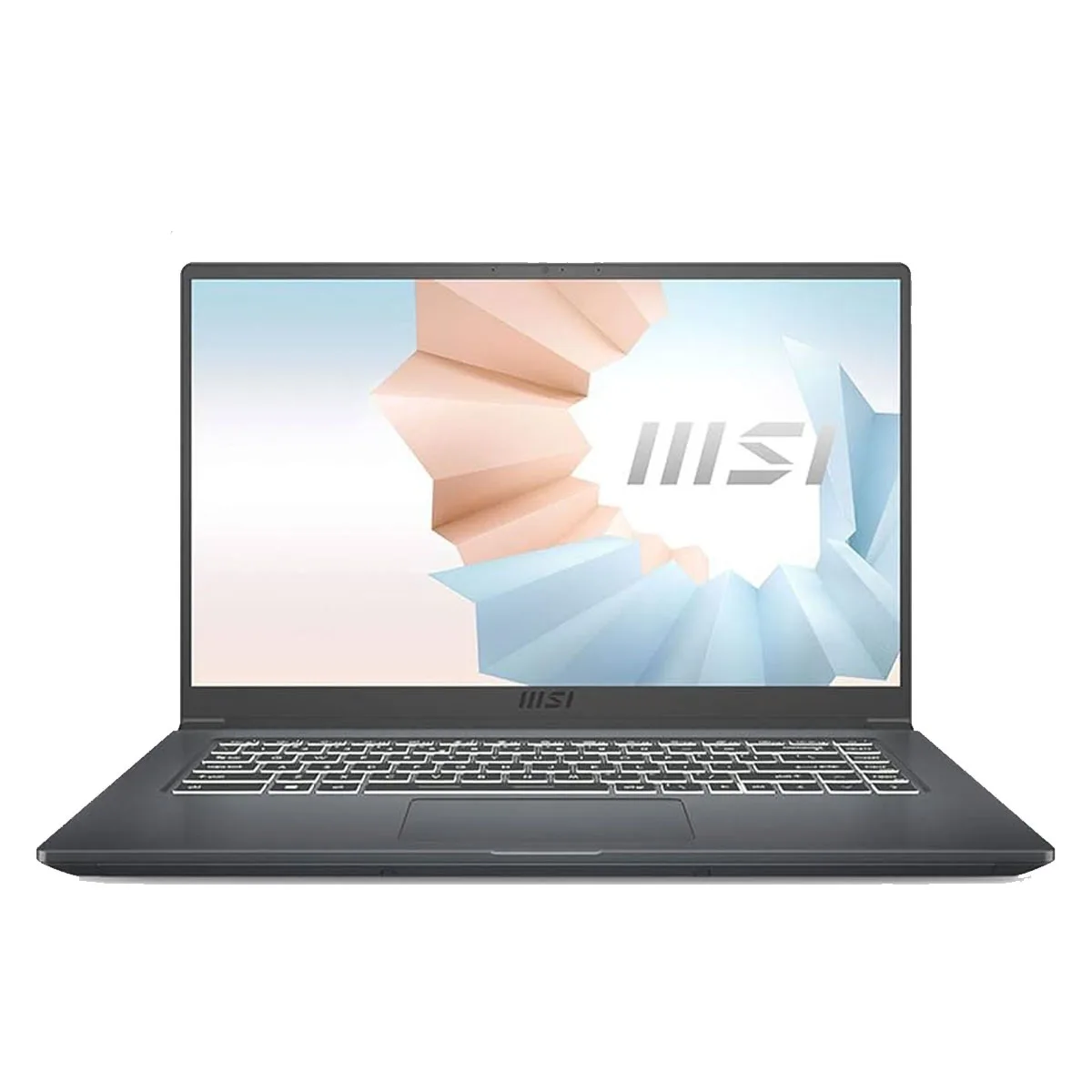 MSI MODERN 15 A11M - R&R Computer Services