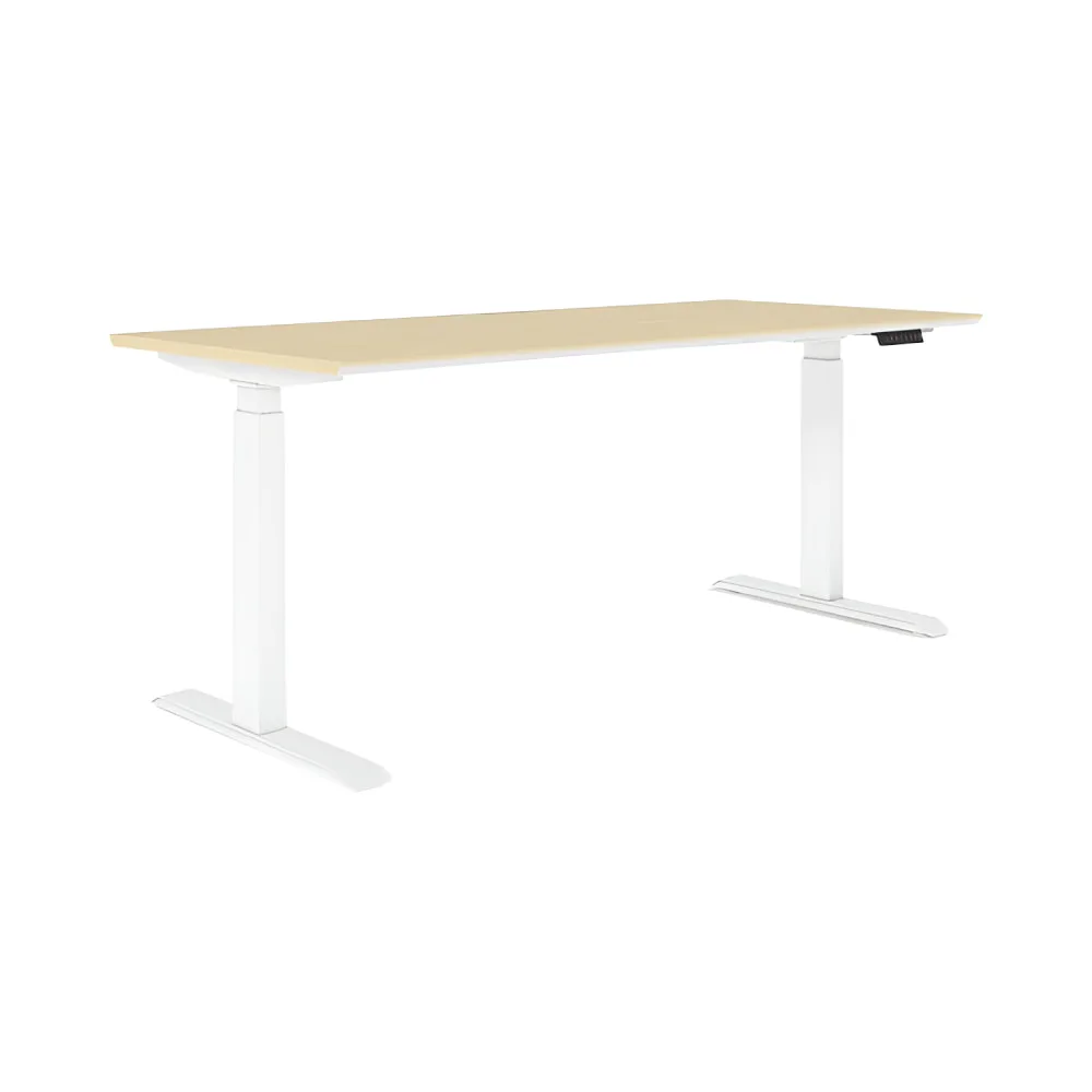 Noel Adjustable Desk P-AD-DM3S-06