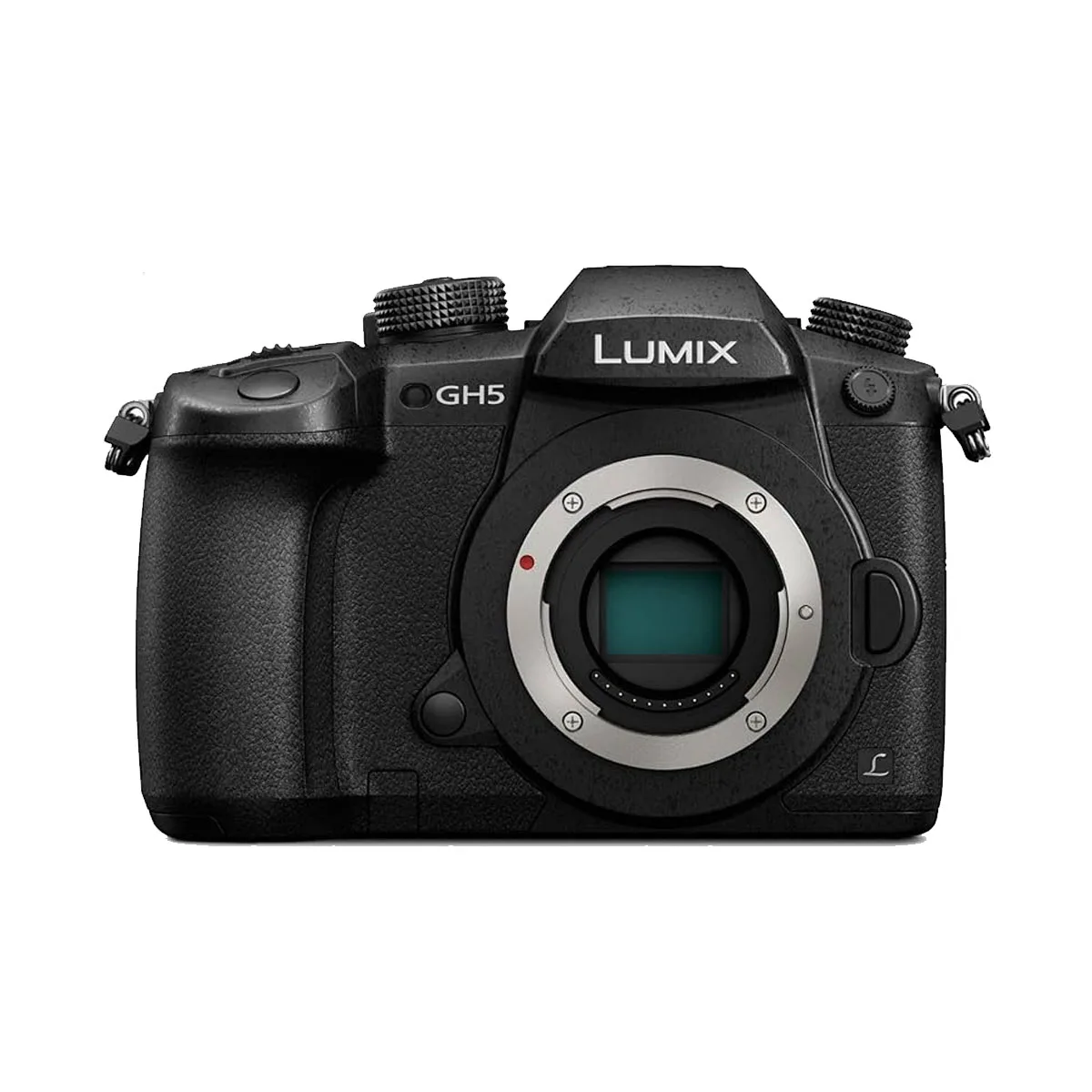 Panasonic LUMIX GH5 4K Mirrorless Camera + LENTE LUMIX 14-140 - R&R Computer Services