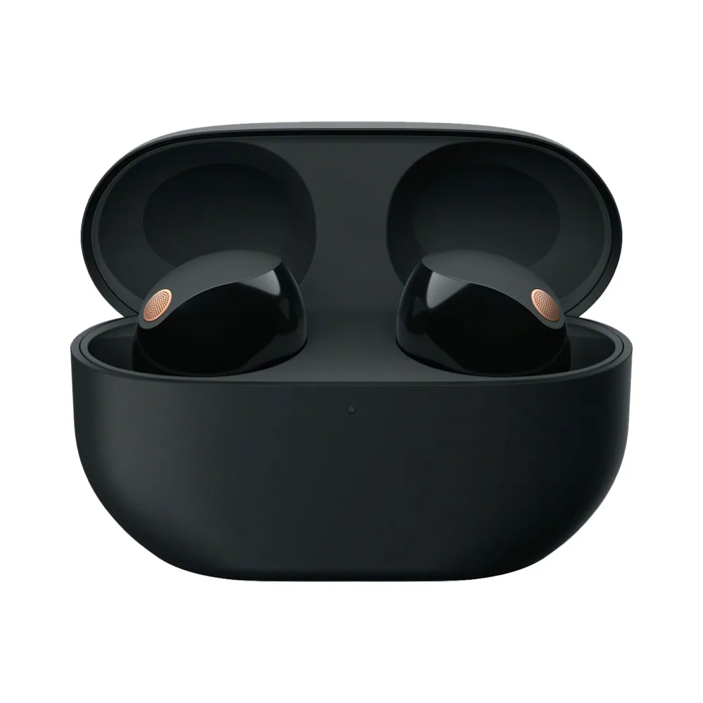 Sony Truly Wireless Noise Canceling Earbuds Black